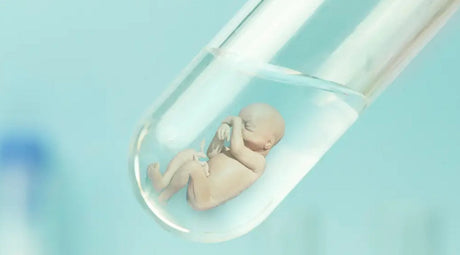 Test-Tube Pregnancies