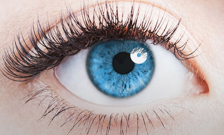 Eye Diseases